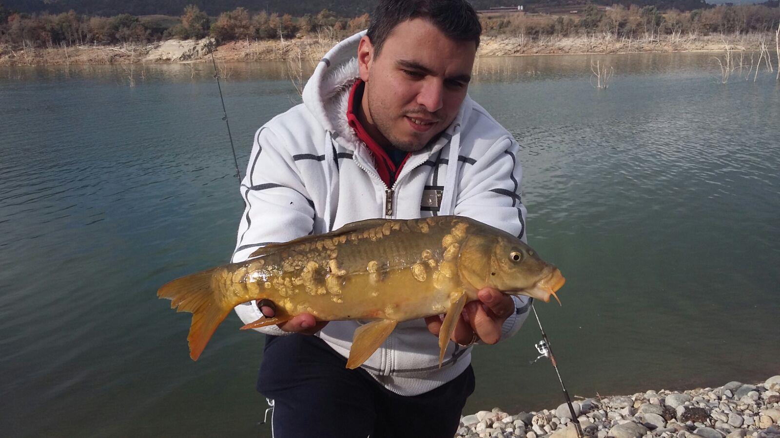 Spania 2 ianuarie 2016 - img-20160103-wa0000.jpg